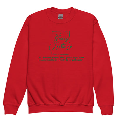 Red kids Merry Christmas family quote sweatshirt